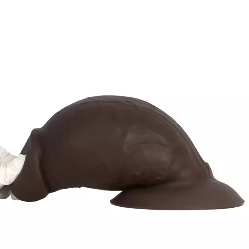 Plug Bigbody L 22 x 11,7cm – 3/4