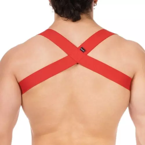 Elastisches Harnass Everette Rot – 2/4