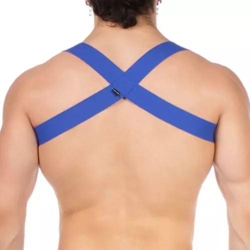 Elastisches Harnass Everette Blau – 2/4