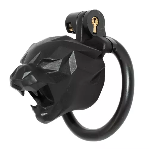 Keuschheitskäfig Leox 4.5 x 3.5cm Schwarz – 1/4