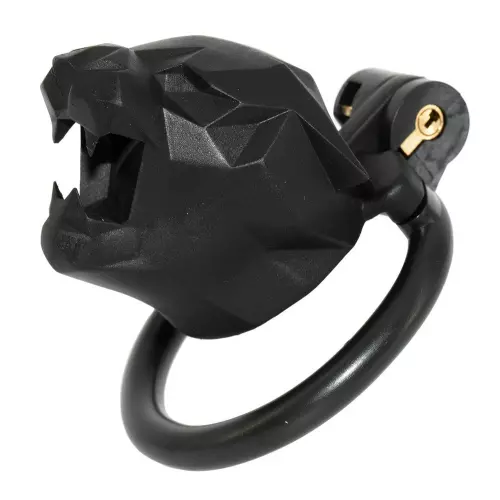 Keuschheitskäfig Leox 4.5 x 3.5cm Schwarz – 2/4