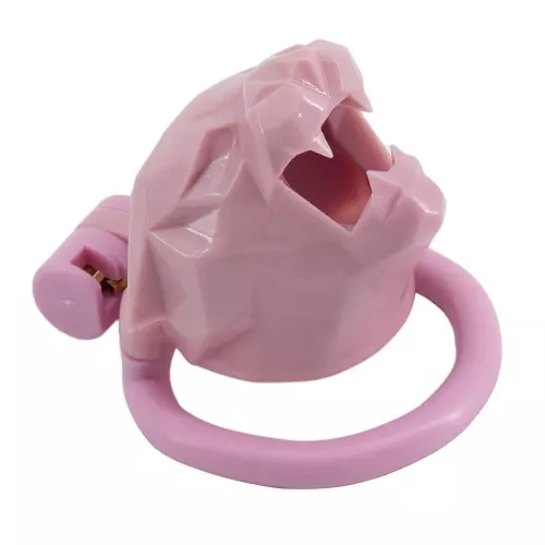 Käfig Leox 4.5 x 3.5cm Rosa – 2/2