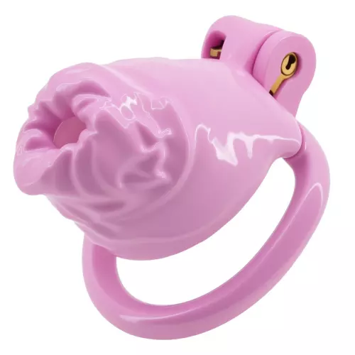 Käfig Forial 3.5 x 3.2 cm Rosa – 3/4