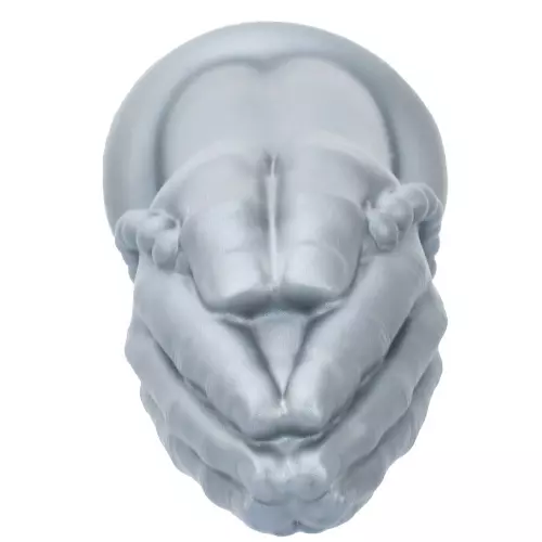Handförmiger Dildo Prayrosary M 24 x 8.3cm – 3/3