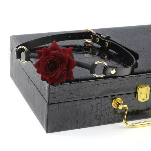 BDSM-Set mit Koffer 7 Teile Blackbox – 4/8