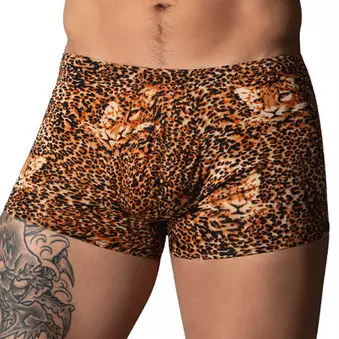 Leoparden Boxer Ring & Short Braun – 1/3