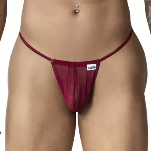 String Cleros Bordeaux – 1/7