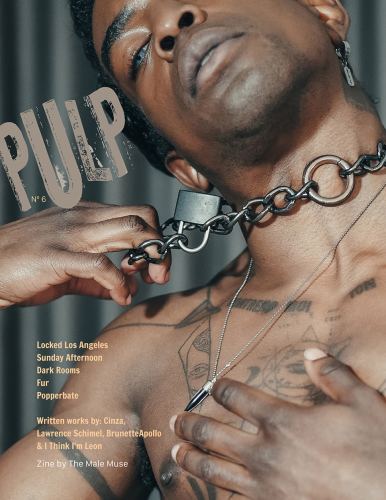 Livre photo PULP n6