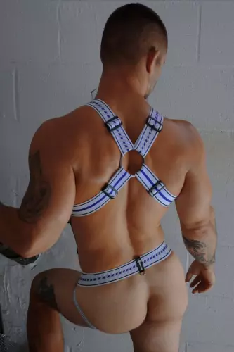 Geschirr Gymnetixxx Weiß – 11/11