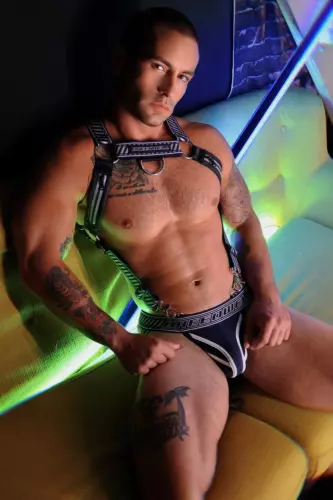 Geschirr Gymnetixxx Dunkelblau – 7/13