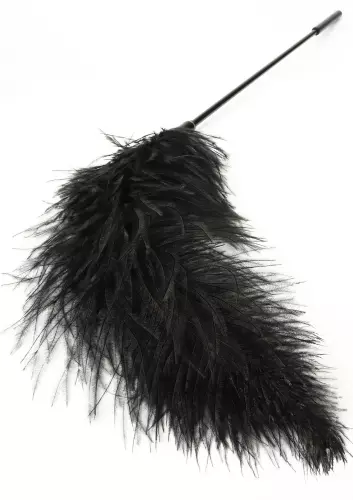 Double Feather Tickler 66cm – 3/6