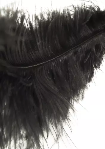 Double Feather Tickler 66cm – 4/6