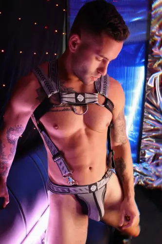 Harness Mister Luxe Grau – 9/15