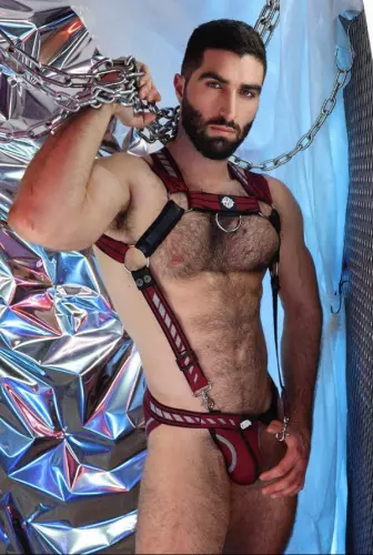 Mister Luxe Harness Burgundy – 3/15