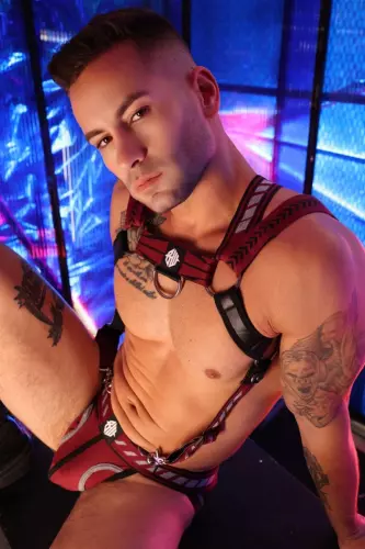 Mister Luxe Harness Burgundy – 6/15