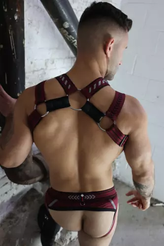 Mister Luxe Harness Burgundy – 12/15