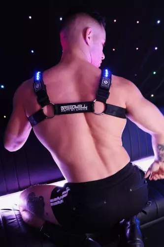 Prismaglow Luminous Harness Black – 4/11