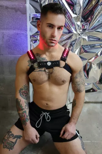 Prismaglow Luminous Harness Black – 7/11