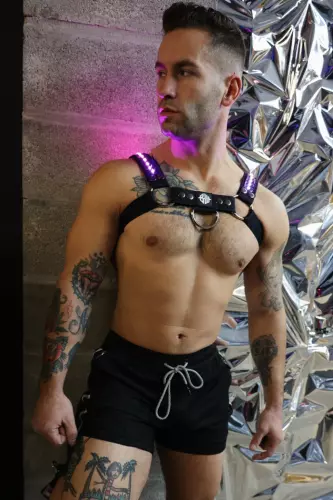 Prismaglow Luminous Harness Black – 11/11