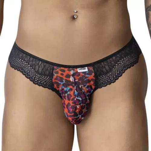 String Leodentis Luipaard Kleuren – 1/7