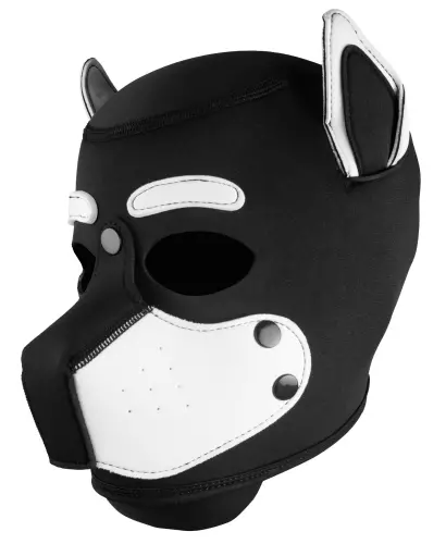 Maske Petty Dog Schwarz-Weiß – 1/3