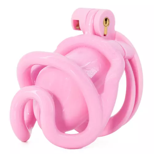 Kooi Rammak Roze S 6 x 2.7 cm – 2/4