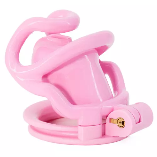 Kooi Rammak Roze S 6 x 2.7 cm – 3/4