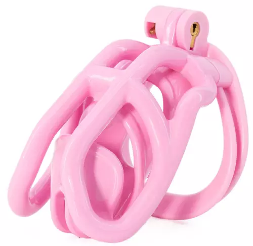 Käfig Rammak Rose M 9,5 x 2 cm – 2/5