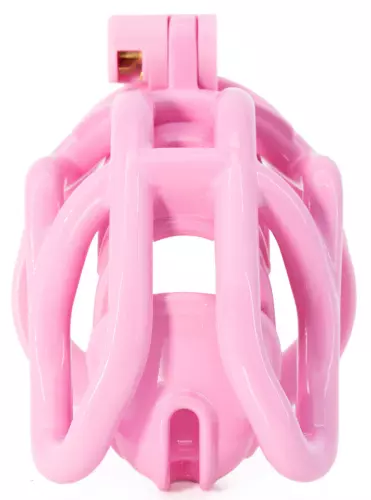 Käfig Rammak Rose M 9,5 x 2 cm – 4/5
