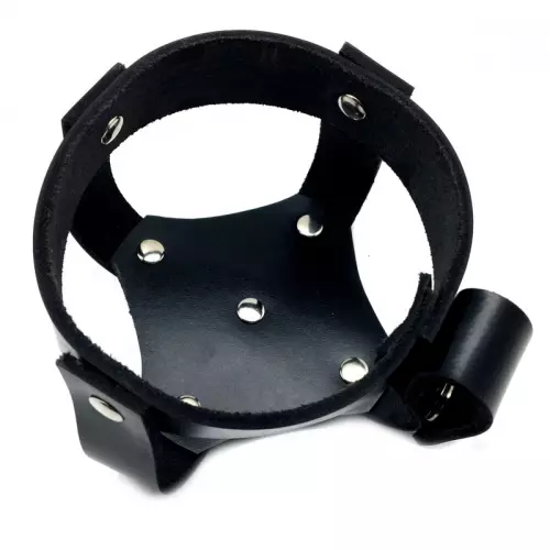 Crisco-Halter aus Leder – 2/5