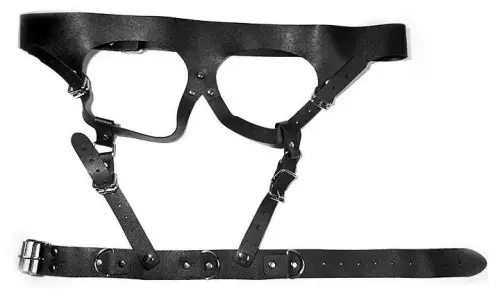 Beautydom Black Collar and Cuff Harness – 2/3