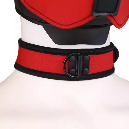 Halsband PUPPY Neopren Rot – 3/6