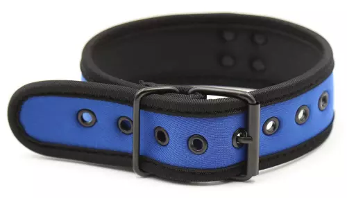 Halsband aus Neopren Blau – 2/6