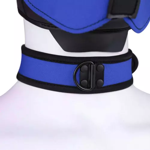 Halsband aus Neopren Blau – 3/6