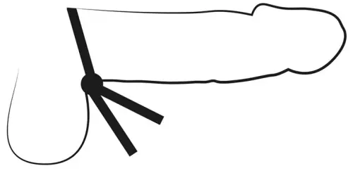 Cockring Lassonly 1 Kraal – 3/3