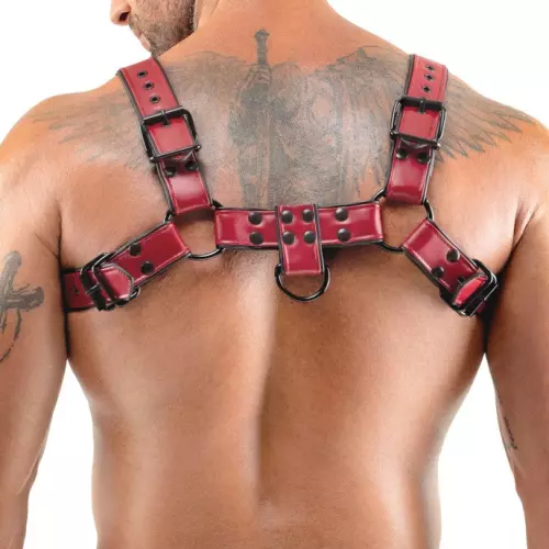 Chest-Harness Chestty Rot – 2/6