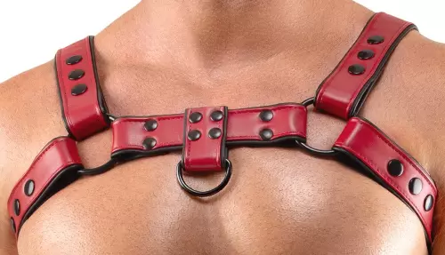 Chest-Harness Chestty Rot – 4/6