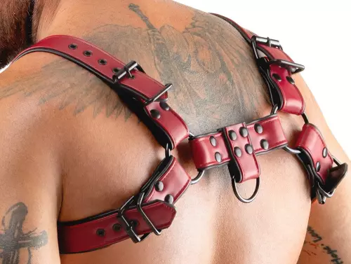 Chest-Harness Chestty Rot – 5/6