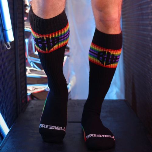 High socks Icon Pride Black-Rainbow