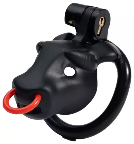 Antistress-Penis – 4/7