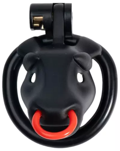 Antistress-Penis – 6/7