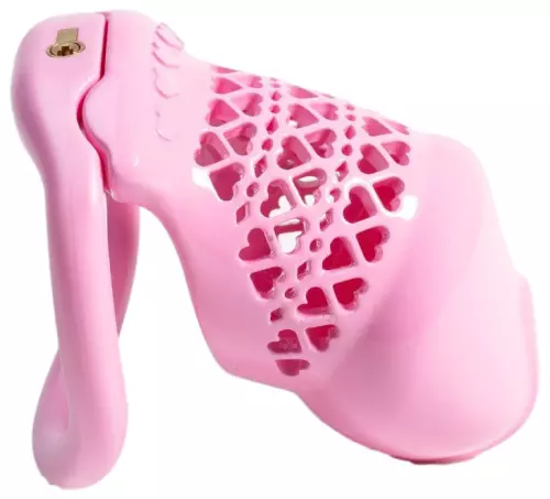 Cage Fivheart 8 x 3.2 cm Rose – 3/4