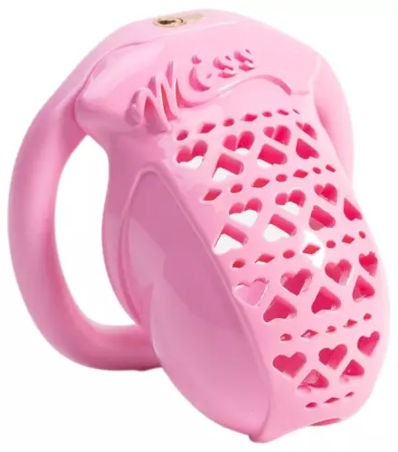 Käfig Miss Heart 6,5 x 3,1 cm Rosa – 1/2