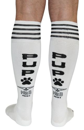 Lange sokken PUP Cruising Socks Wit