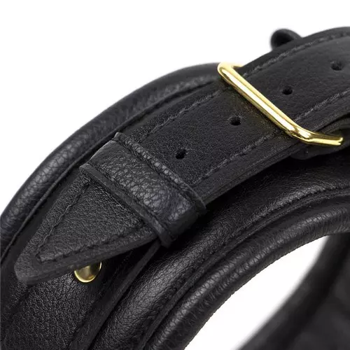 Premium-Halsband Komfort Gold – 2/6