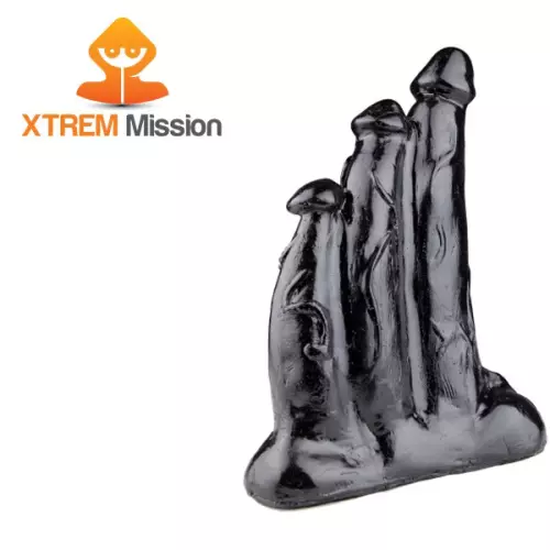 MISSION TRIPLICATE 22 x 14 cm – 4/7