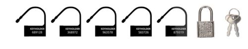 Set of 5 Numbered Black Locks