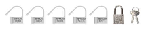 Set of 5 Numbered LOCKS