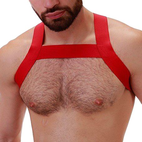 Elastic Harness MATT Red
