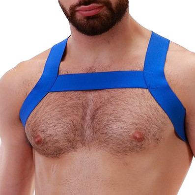 Elastic Harness Matt Blue